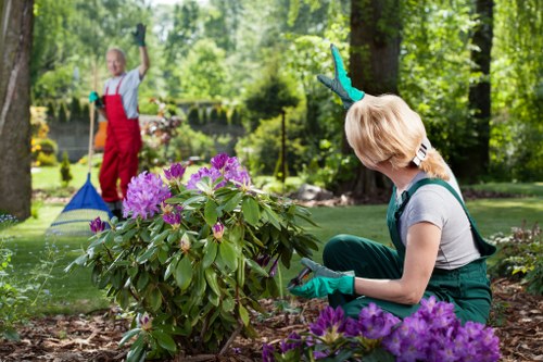 Illustration for accessible Landscaping Wandsworth website content