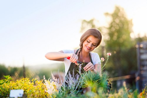 Landscaping quote planning for a Wandsworth garden