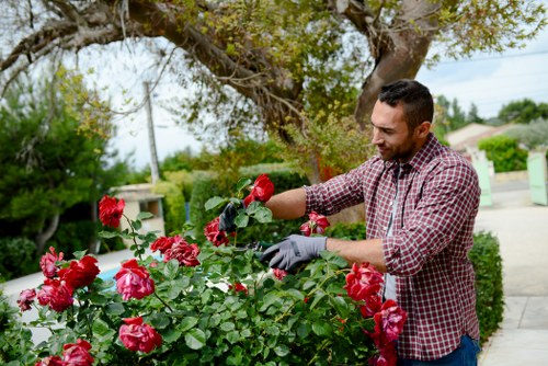 Landscaping team preparing a garden service arrangement