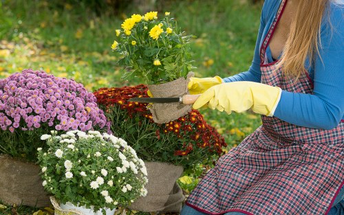 Professional landscaping materials and planting layout for Wandsworth gardens