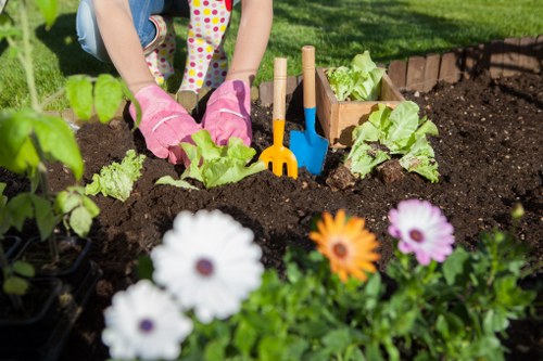Annual policy review for ethical landscaping operations