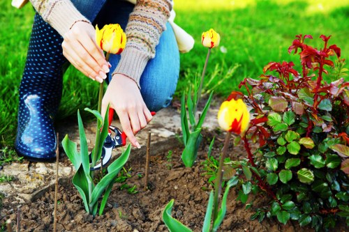 Local turf laying service for a Wandsworth garden