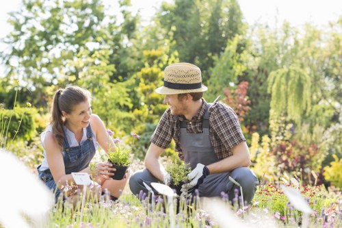 Regular policy review for safe and professional landscaping work